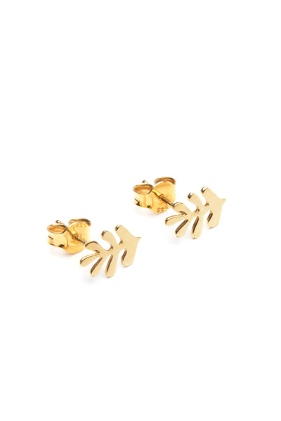 Aretes Kelp Dorados