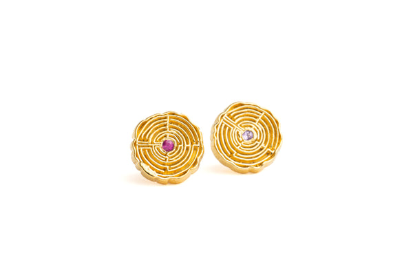 Aretes Laberinto