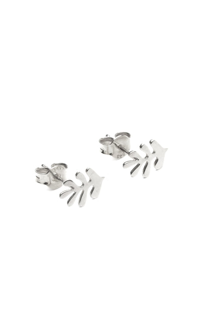 Silver Kelp Earrings