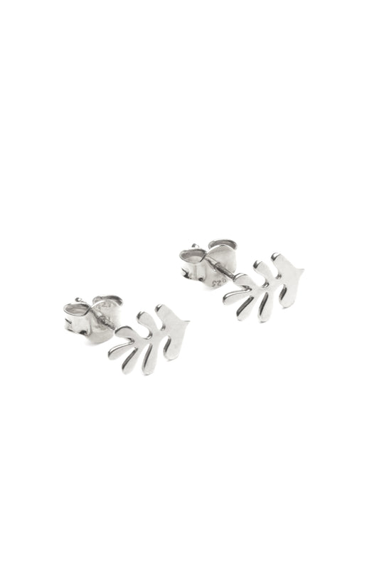 Silver Kelp Earrings